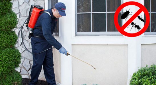 Kurşunlu Kemirgen İlaçlama böcek ilaçlama ve haşere kontrolü — ilaclama-tr.com